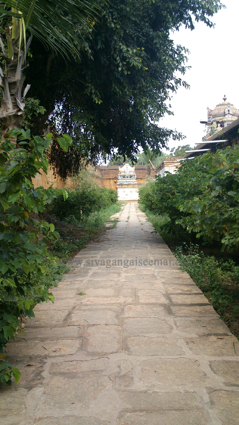 Excellent Kalayarkoil Temple Surrounding