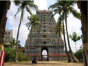 sivaganga city temple photographs