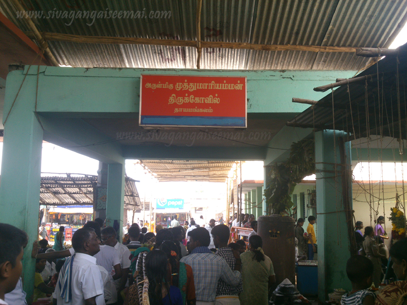Thayamangalam Muthumariamman Temple Bus Route and Best Pooja Timings